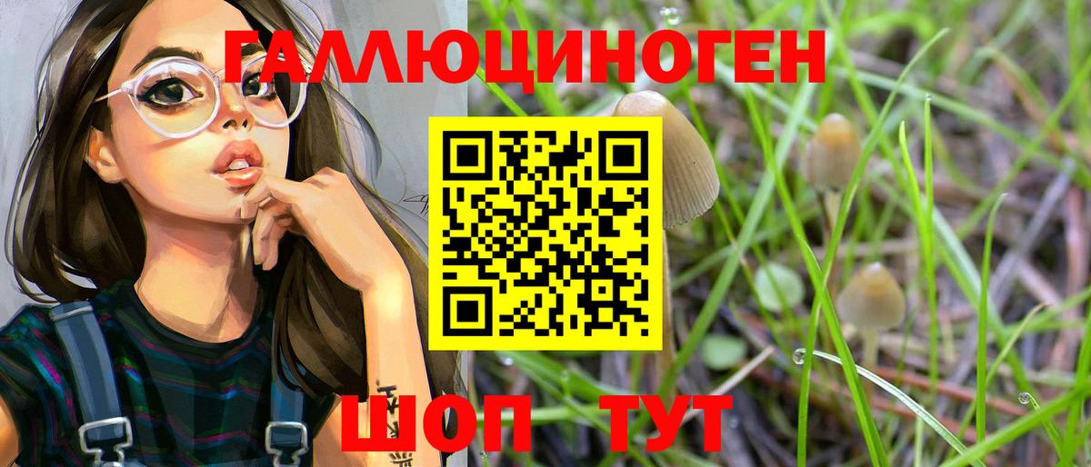 Барнаул  Галлюциногенные грибы Psilocybe  Галлюциногенные грибы GOLDEN TEACHER  Вход с VPN 